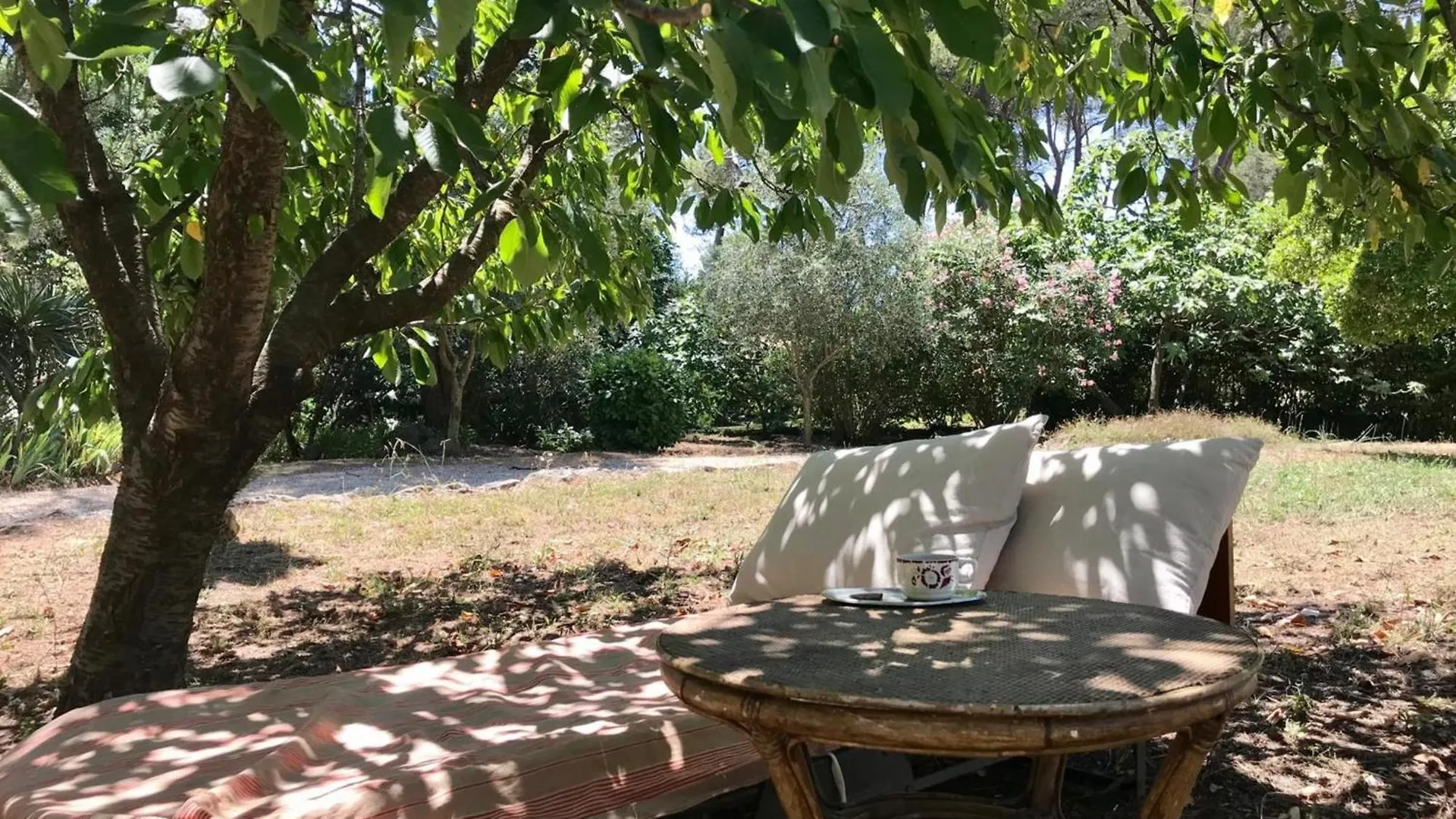 Mougins Charming Villa With Swimming Pool 3 Bedrooms In The Pine Forest